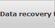 Data recovery for Wesley Chapel data