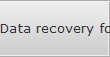 Data recovery for Wesley Chapel data